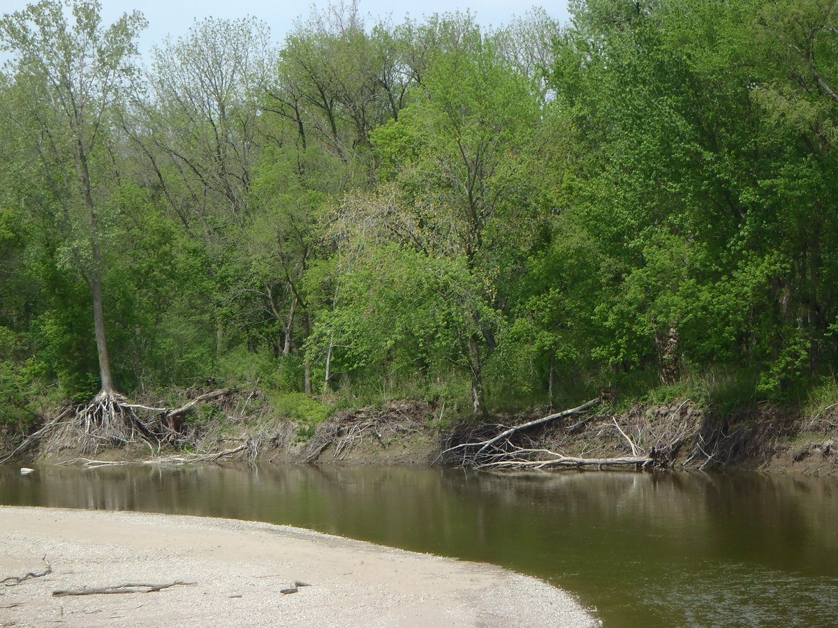 River channels change in shape and direction over time. But climate change and agriculture are accelerating the process. In recent decades, the flow of water through local rivers has steadily increased. The Le Sueur River’s flow has doubled over the past 60 years. (1/3)