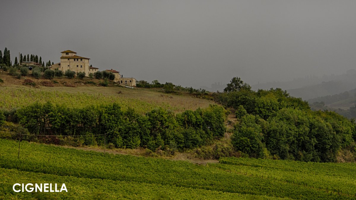 cignellavillas's tweet photo. Grey skies can't stop the green Tuscan hills from looking beautiful!
November is a month which traditionally experiences a high rainfall, but we still think Tuscany looks gorgeous! π§
#cignella #cignellavillas #visititaly #italy #tuscany #visittuscany #holicay #holidayresort https://t.co/XNBqvSsi6V