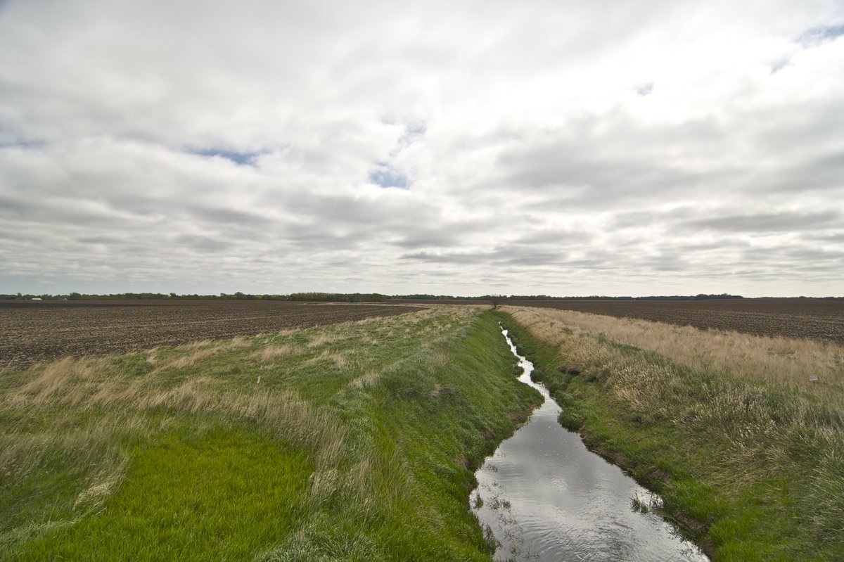 Before European settlement, wetlands, lakes, and prairie potholes covered the Greater Blue Earth River Basin. These systems filtered and slowed the water entering the river. Urban development and agriculture has removed more than 90% of these wetlands. (2/3)