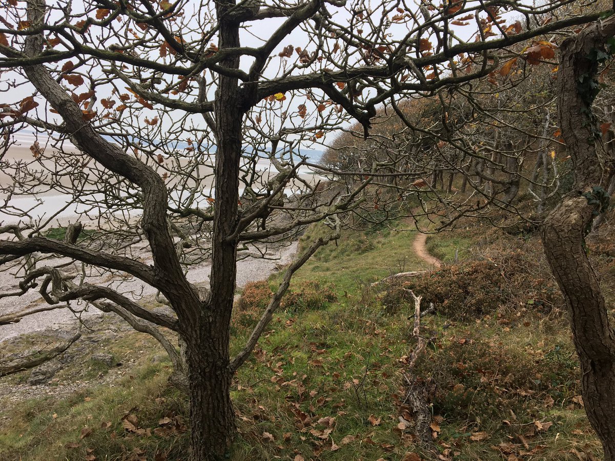 Aligreennhs's tweet photo. The simple things. A smell, view, crunching leaves underfoot, a ripple of water.  #JoinedUpLSC https://t.co/2IfYkjiWPG