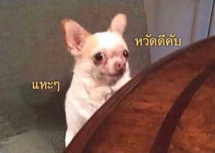 เค้าตอนเผลอไปเฟบที่คนอื่นเค้าเมนชั่นคุยกัน