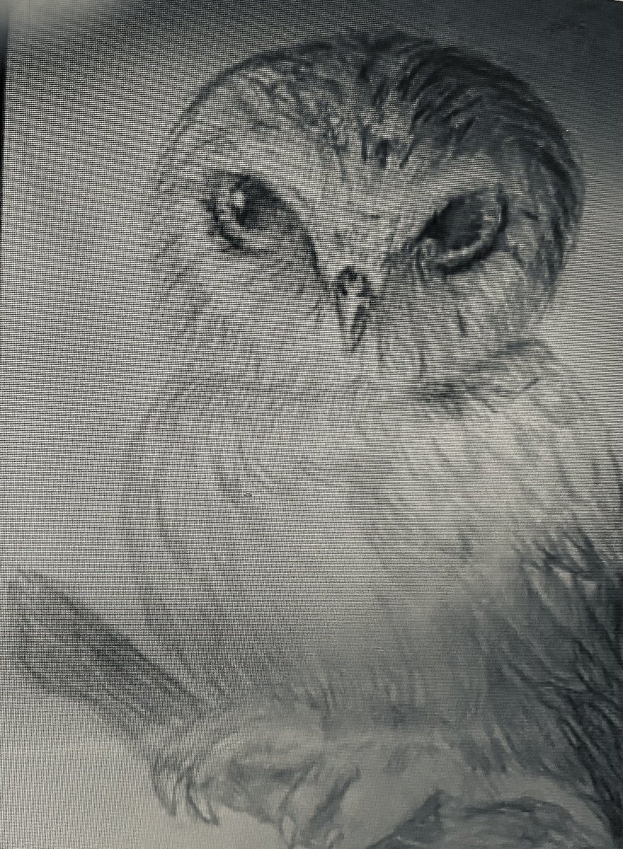 AHMSArtBark's tweet photo. Hoot Hoot! More Owl Drawings @chandelart @AHMS_counsel @HamiltonMS1 @hmsalderete @heightshigh1 https://t.co/IuOzMDSAlD