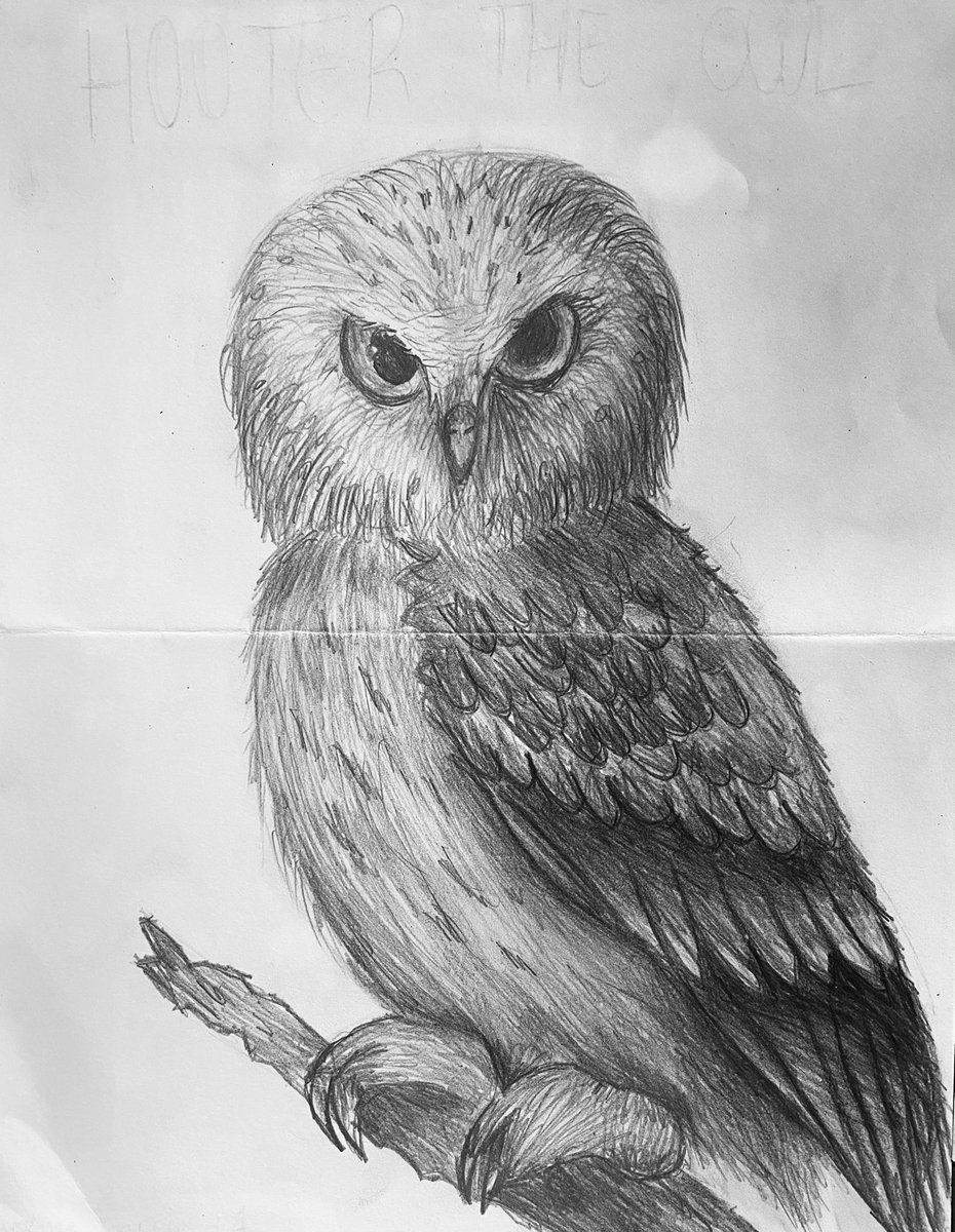 AHMSArtBark's tweet photo. Hoot Hoot! More Owl Drawings @chandelart @AHMS_counsel @HamiltonMS1 @hmsalderete @heightshigh1 https://t.co/IuOzMDSAlD