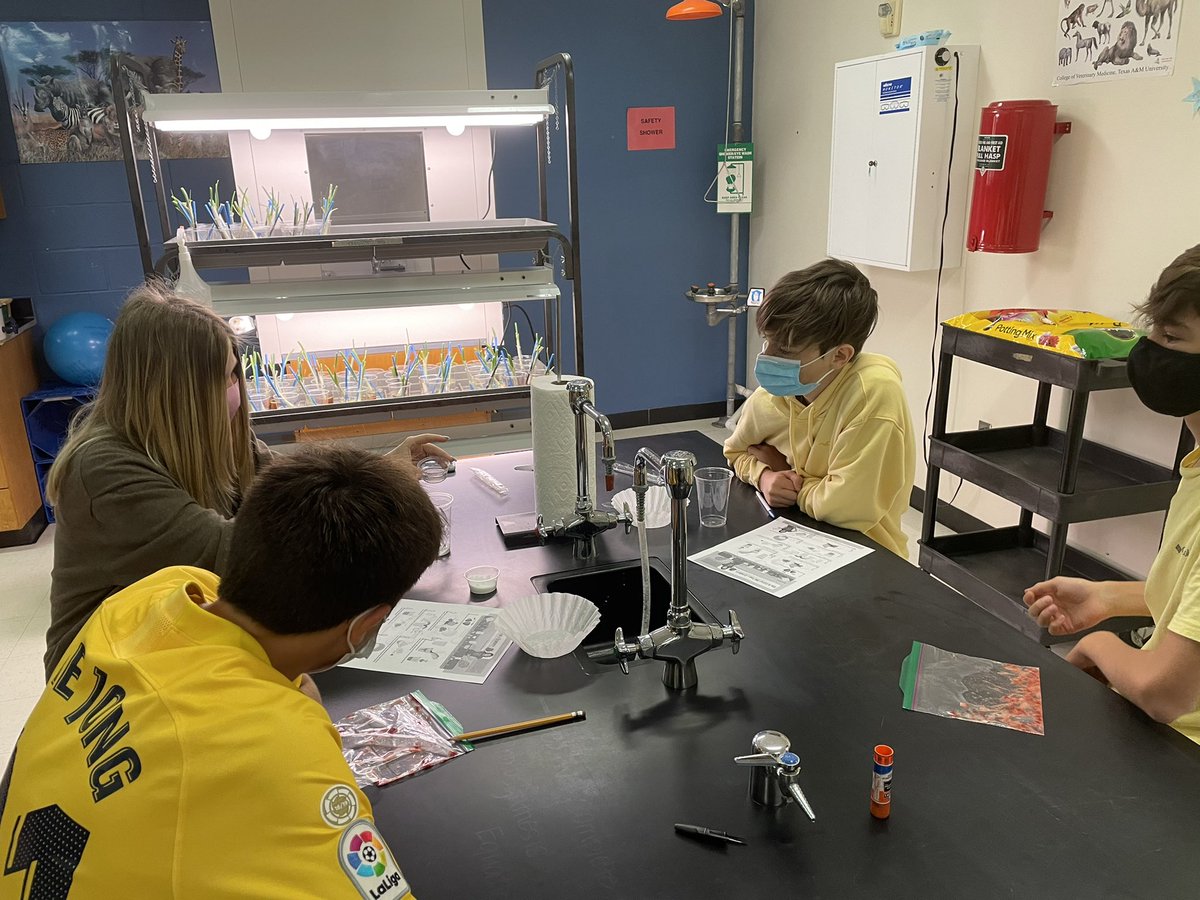 Nicole_Erfurdt's tweet photo. Biology students are extracting DNA from strawberries today! 🍓🧬@FWoodG @scienceFHS https://t.co/1hqJRndiUU