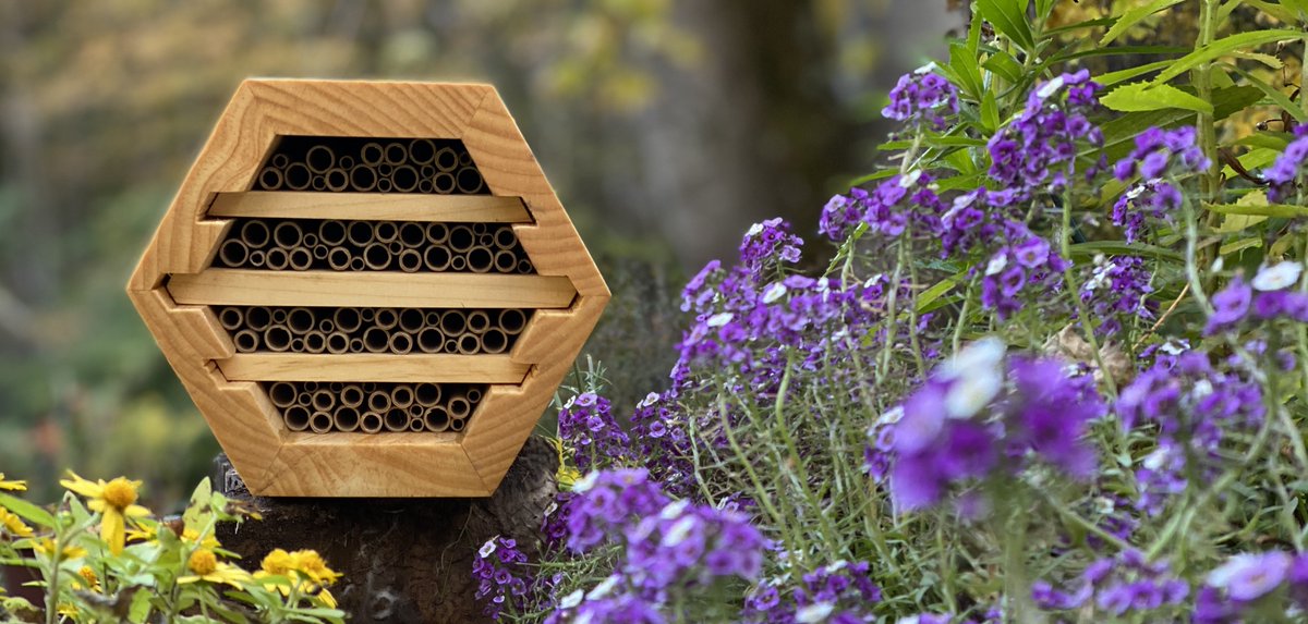 bee_conservancy's tweet image. This bee house brings all the buzz to the yard. 
DEADLINE TO APPLY for a free native bee house: 11/30 (No beekeeping experience required!) bit.ly/sah2020email #nativebees #savethebees