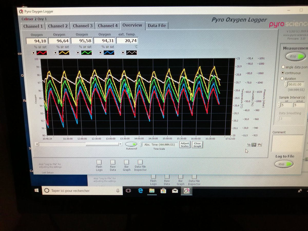 afishyonado's tweet photo. Energetics of feeding mode in #sardines, with tank #respirometry. https://t.co/y1qo5fYDW8