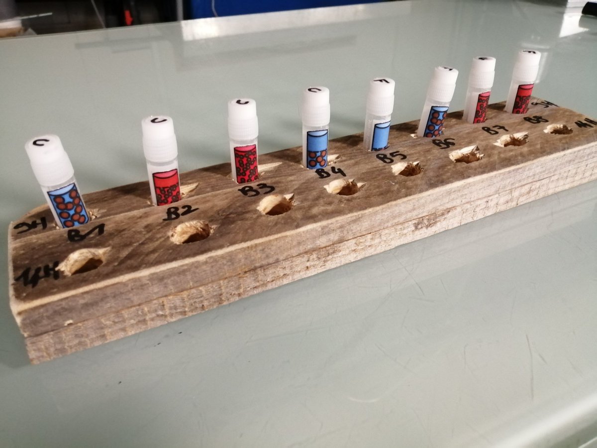 afishyonado's tweet photo. Energetics of feeding mode in #sardines, with tank #respirometry. https://t.co/y1qo5fYDW8