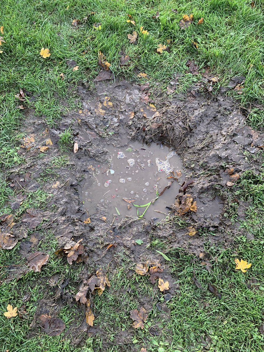 MissSteel7's tweet photo. Muddy puddles = Magic potions. Just a few magic words, ingredients from the trees and plenty of mixing! #creativity #muddypuddles #outdoorlearning @MissBTweets1 @FernieleaSchool https://t.co/EpMjHQgMsV