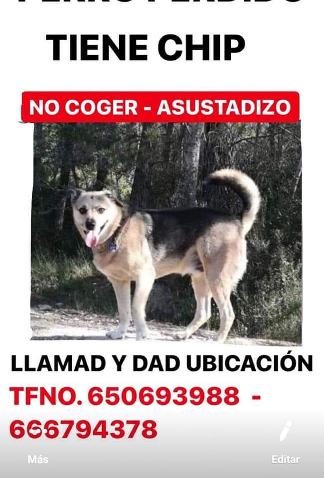 Anabel98550589's tweet photo. SE BUSCA !!!!! https://t.co/1GCnxNLLey