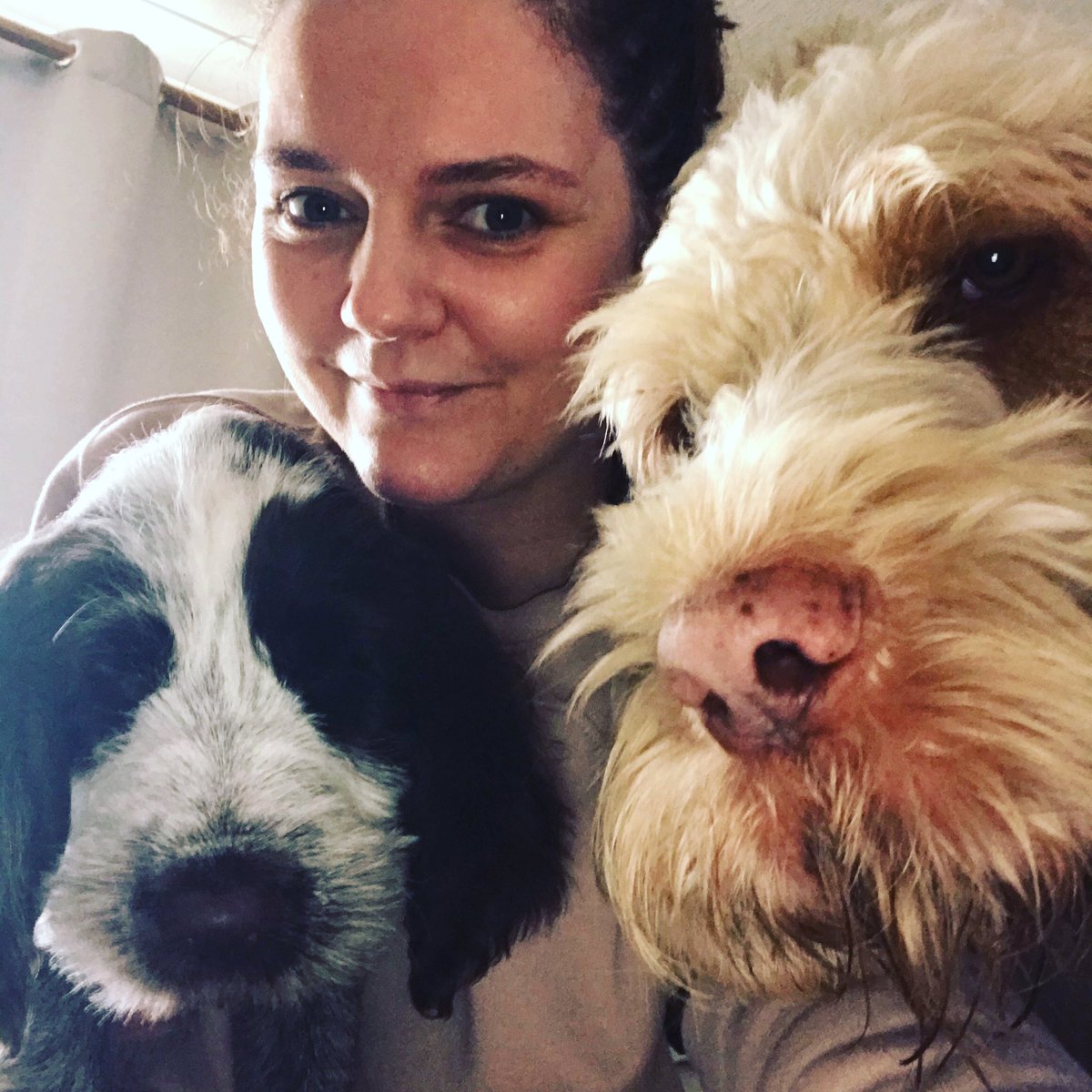 DawnDawnied's tweet photo. Can’t beat a spinone 🐾❤️ https://t.co/4Xym3jAomW