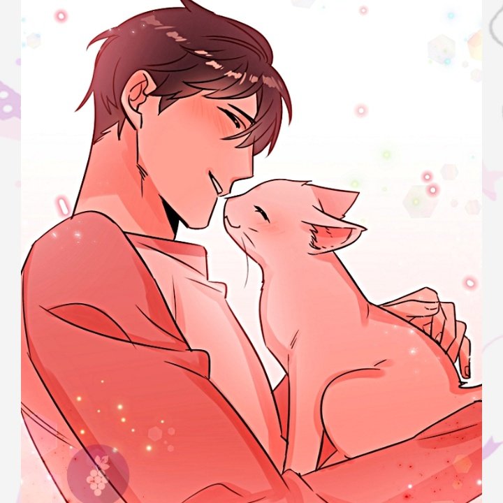 robertexjkk's tweet photo. Tô passada 🤦. Agora esperar pra saber o pq de toda essa mentira e se o Sr 🐈 tem culpa pela falsa memória. @YaoiFanClube @heiswnbxrg #FALOTROXA https://t.co/y4SFMs1b9h