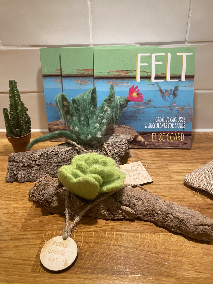 Noiks79's tweet photo. So proud of my sisters first book! FELT - succulents for sands @SandsUK #artforgood #bristolartist #felt #sandscharity @oodledoodleart https://t.co/7Gyi8oG7yG