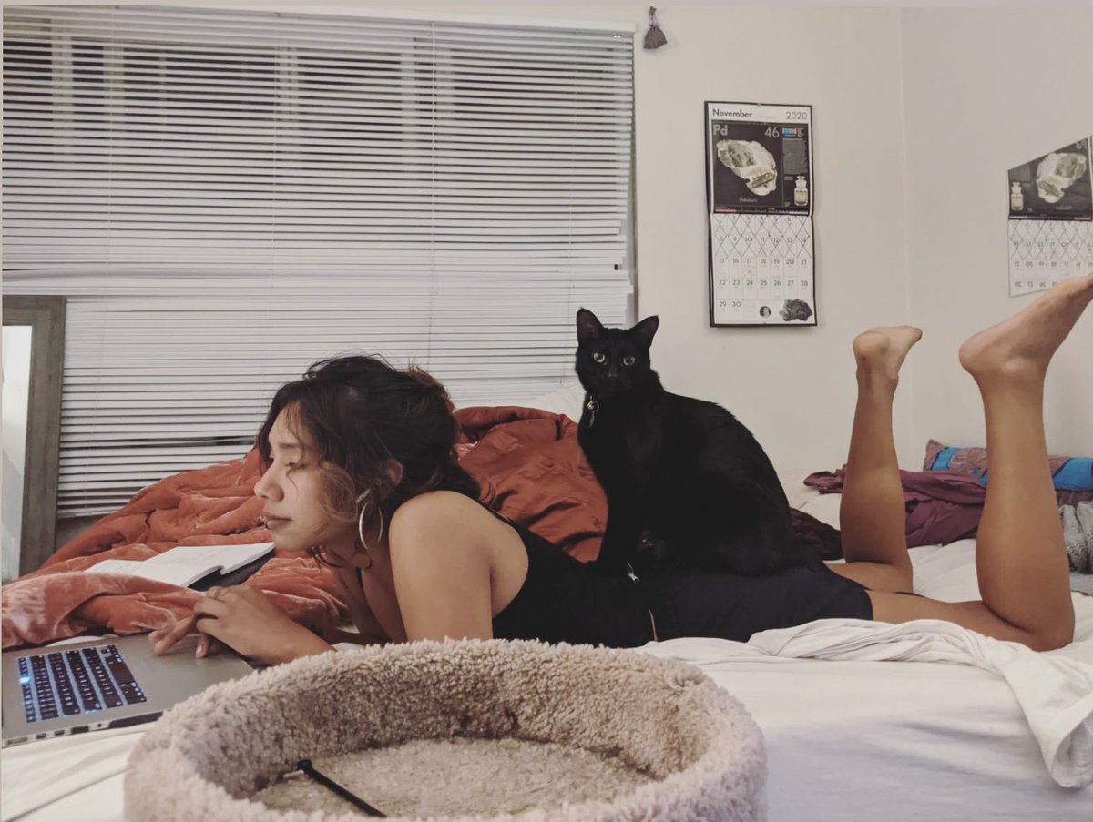 Francesca Sanchez tweet media