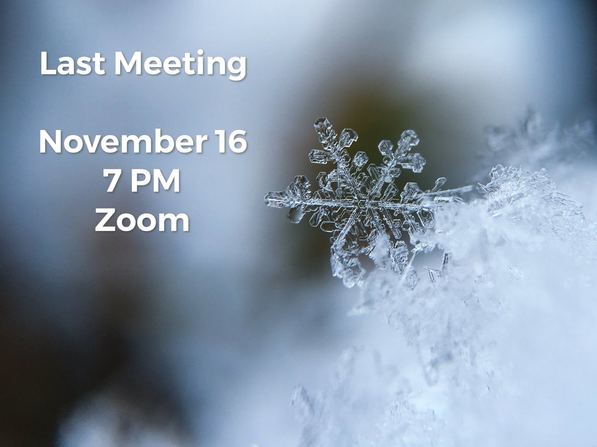 CrimsonKindness's tweet photo. Our last meeting before winter break is tonight at 7 PM on Zoom! https://t.co/z0rkMFgprp
