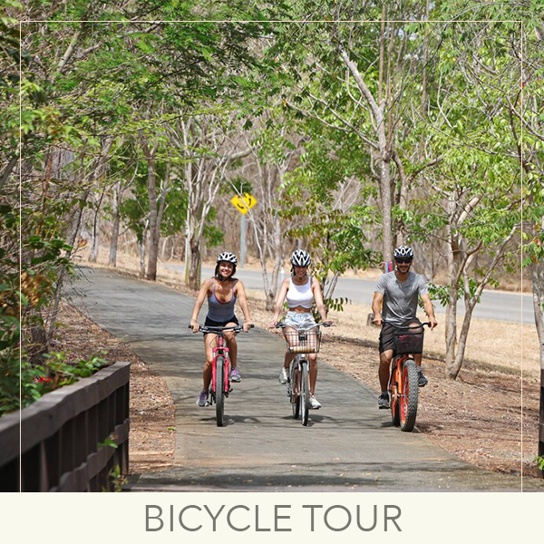 JWCostaRica's tweet photo. The countdown is on to our reopening on November 19th! Enhance your stay at #JWMarriott #Guanacaste with unique activities, from outdoor experiences like bicycle rentals and beach bonfires to local cooking and mixology classes. There’s something for everyone to enjoy! https://t.co/atKzDyX0az