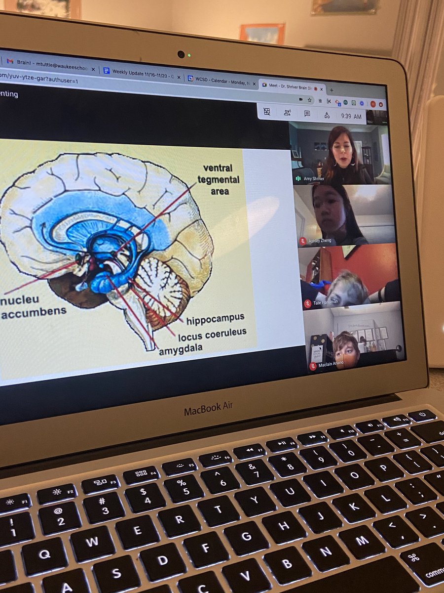 TuttleELP's tweet photo. Always fun to have @shriver_amy talk to us about brain development. We had a great time “meeting” with her! https://t.co/c6Gdqv5d9v