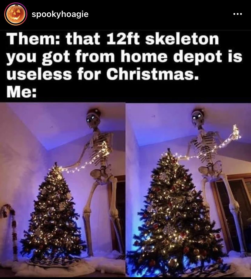 katefrush's tweet photo. @KarenKilgariff i saw this on instagram and figured you needed another reason to appreciate the 12ft skeleton https://t.co/sEq2WvBAXv