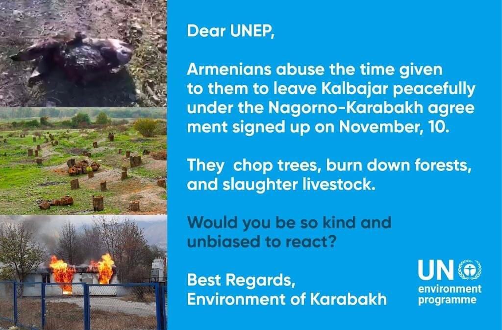Ulinka999's tweet photo. Nature is the next innocent victim of #Armenia
İllegally settled armenians are leavingthe occupied territories of Azerbijan by demonstrating all forms of #ArmenianVandalism
#Kalbajar  #Ecoterrorism #AnimalCruelty
burning the houses and committing a crime against Nature
#unep https://t.co/rLJMzL4IKq