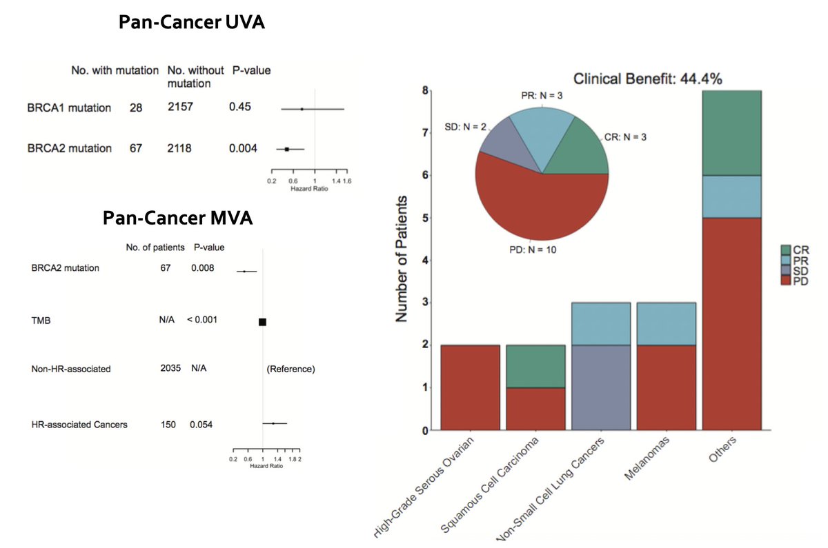 We went back to our human data & performed a pan-cancer analysis that indeed found BRCA2 and not BRCA1 was associated with OS after ICI. This remained true after MVA correcting for TMB. Together, the findings suggest BRCA1 and BRCA2 have distinct effects on immunity. (11/N)