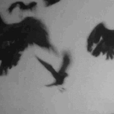 GRESSXUSX's tweet photo. ˳ (☠️) ॱ ᚐ𖠵𓊪̶ᚐ ₲᥅ꫀs̷s𝖝ꪊ$  ᚕ𓊪ᚐ  ⁺ 𓈒 ᚐ𓎭͇́ᚐ @╸⚓ ✦✧ 𒄬𓏻̶ ˚ . https://t.co/lESXO2PniW