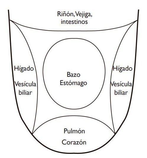 liping_mtc's tweet photo. La lengua refleja el estado de todos los #zangfu.
Se divide en regiones, cada una de las cuales pertenece a un órgano particular, indicando el estado del mismo. Ej: la punta pertenece al Corazón, por lo que una alteración en esa área de la lengua... - https://t.co/GWQPHbcxyt https://t.co/iYS5V6dNXv