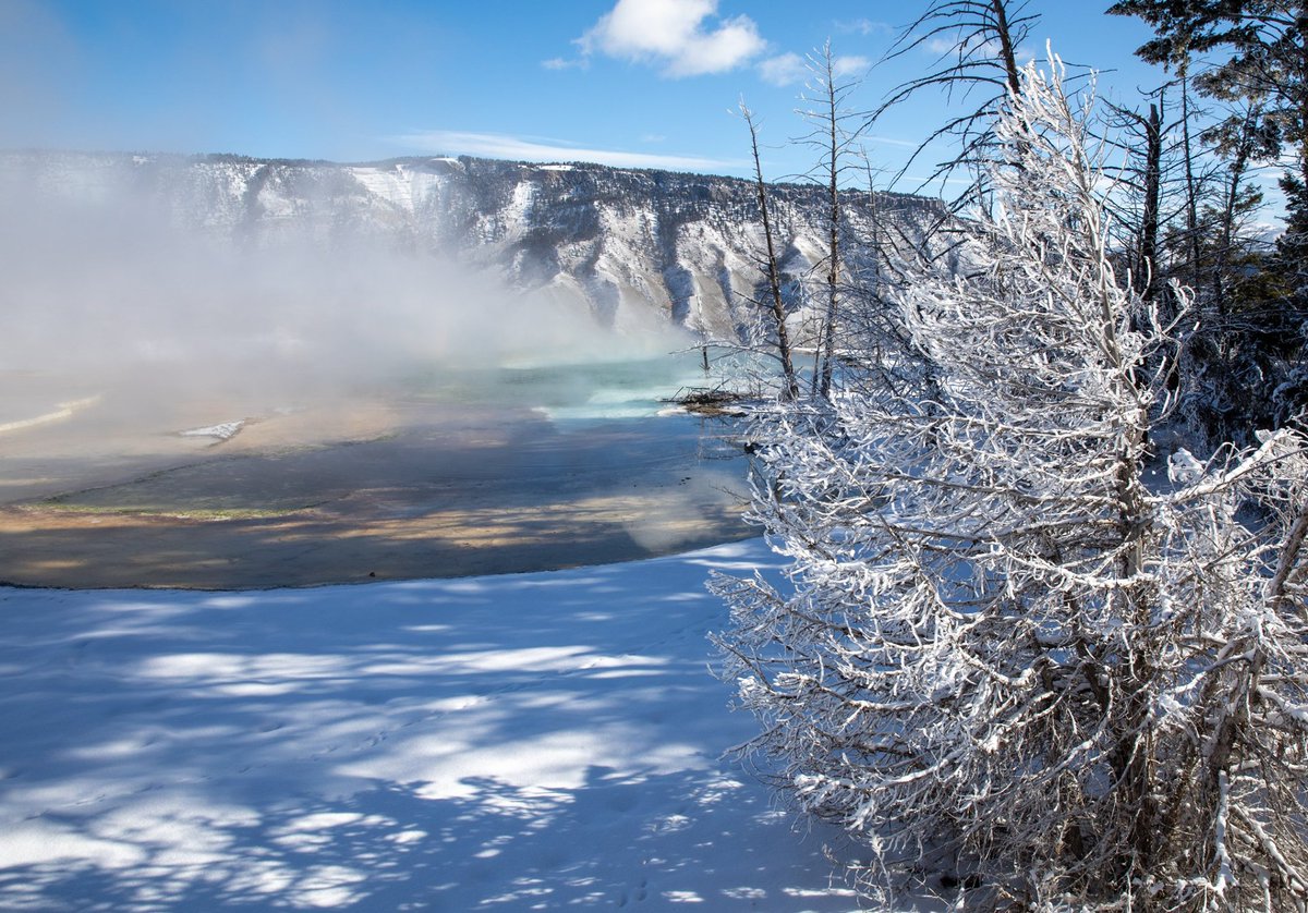 YellowstoneNPS's tweet image. With most of the roads in the park closed now in preparation for the winter season, it is a good time to hike the Mammoth Terrace boardwalks. Some of the highlights are Canary Spring, Mound Terrace, Palette Spring, and possibly rime ice if the weather is cold!