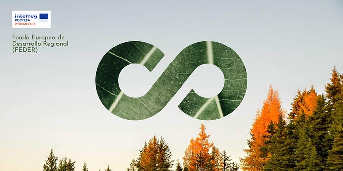 ctforestal's tweet photo. Disponibles los vídeos de los seminarios sobre #formación y #empleo #forestal llevados a cabo estas últimas semanas, @CTPPOCTEFA @CTPcooperation #Pyrempfor, #iforwood,
https://t.co/H7nx3qEtBS https://t.co/e9xrOqwmup