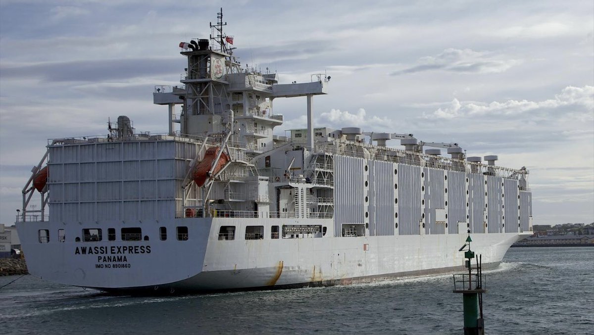 Empormontt1's tweet photo. [🔴🚢 Tercer Embarque de Ganado a China 🇨🇳 ] Ya se encuentra en nuestra bahia el carguero #AnnaMarra el que en los próximos días realizará el embarque más grande de ganado en pie desde el 2014, cuando fue la primera exportación. Esta vez serán 12.000 🐄!#PuertoMontt #Exportacion https://t.co/xdWjBAt7dQ