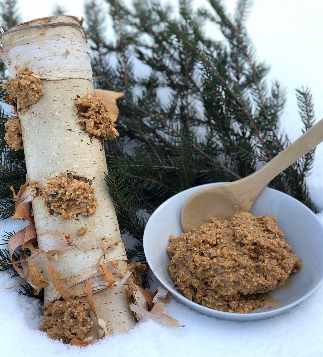 FergusonFriends's tweet photo. Welcome winter birds to your own backyard when the weather keeps you from the forest. Create your own bark butter feeder by hollowing out spaces in a piece of wood, fill with a suet cake mixed with natural peanut butter and watch them enjoy their treat! 
#FeederWatch #Birding https://t.co/8eaOC62JEL