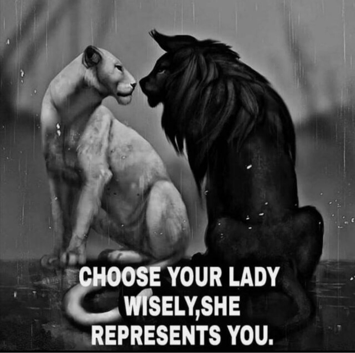 Apply within #MakeItHalpin ❤️🇮🇪🏆