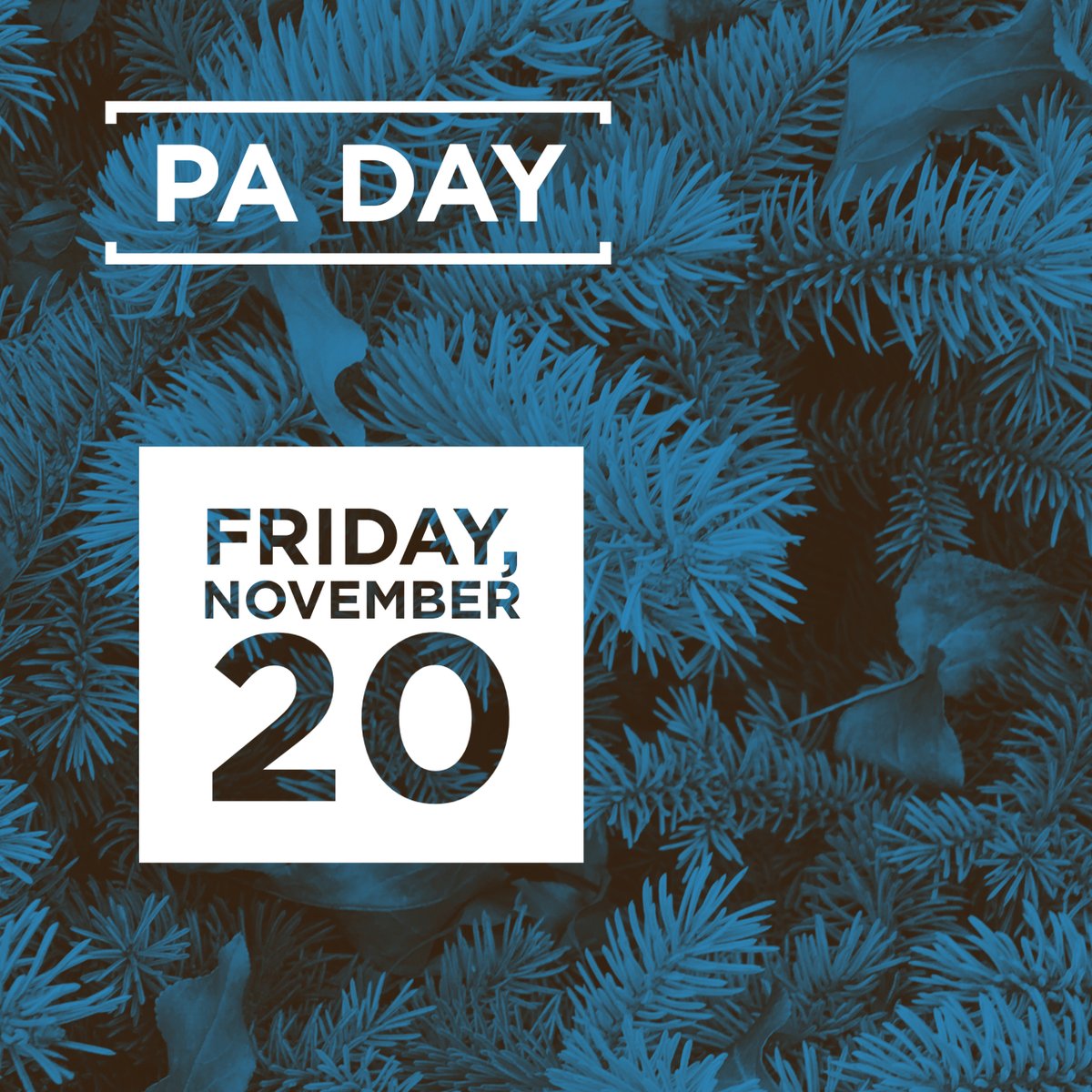 A friendly reminder this Friday, November 20 is a PA day for all secondary and elementary SCDSB students, both Learn@Home and in school.