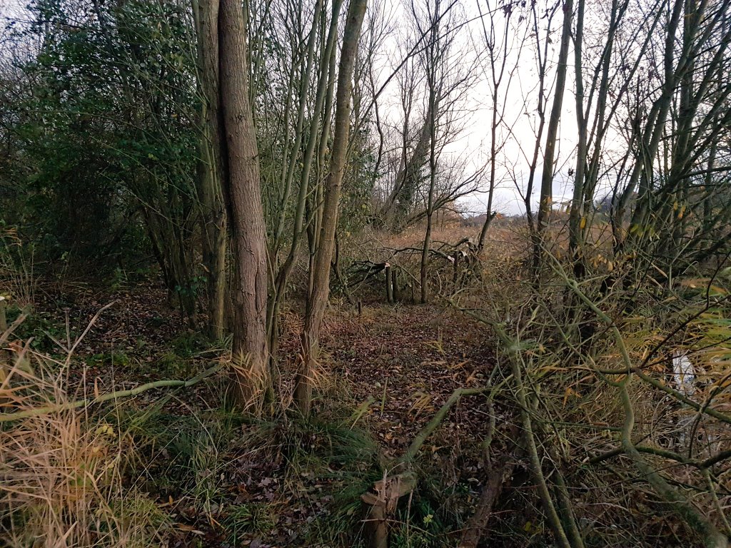 ScrubUpBritain tweet media