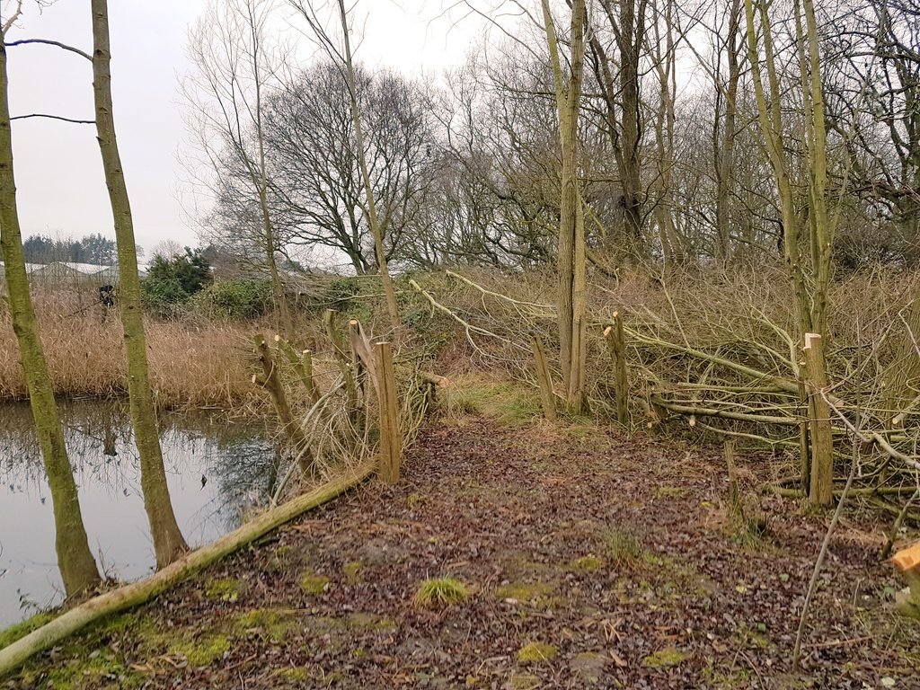 ScrubUpBritain tweet media