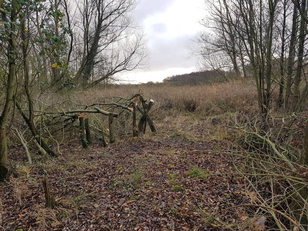 ScrubUpBritain tweet media