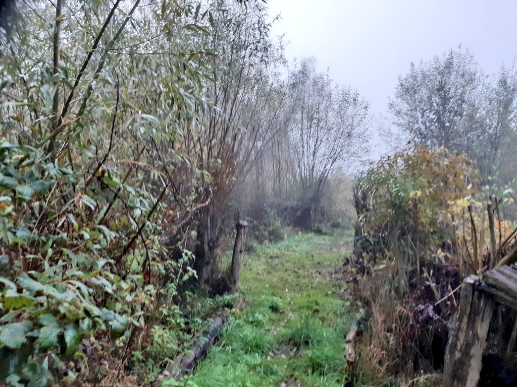 ScrubUpBritain tweet media