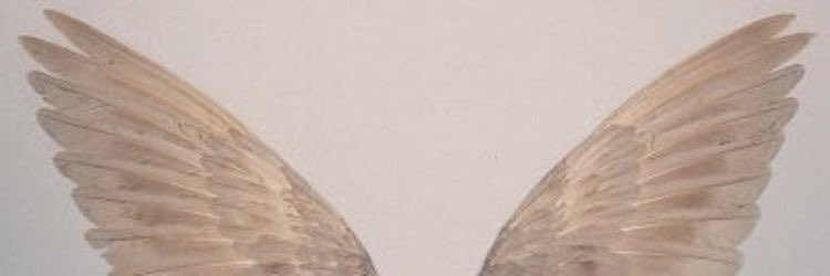 CourtneyNoir's tweet photo. ☁️☁️☁️☁️☁️ https://t.co/QLtjdrQyEC