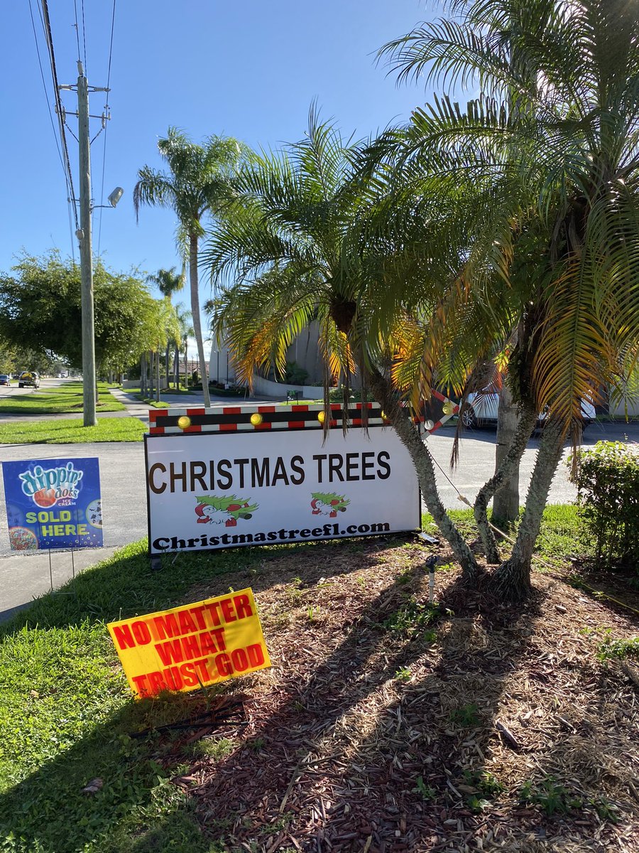 CHRISTMAS TREES NEXT TO PALM TREES, DIPPIN DOTS, AND NO MATTER WHAT, TRUST GOD.  MIAMI DELIVERS THE ALL IN ONE ESSENTIALS