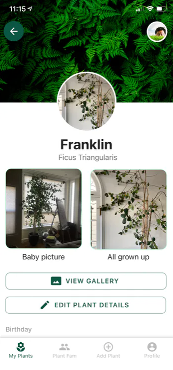 ProductHunt's tweet image. Plants are the perfect friends, don&apos;t @ me.

An app that connects you with other plant enthusiasts and helps you keep track of their health 🌱

meow.ph/plant-parentho…