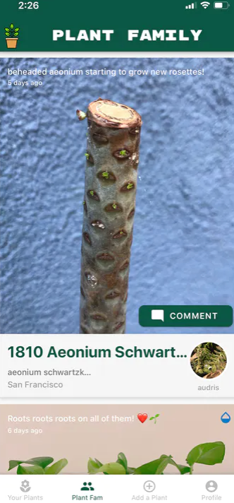 ProductHunt's tweet image. Plants are the perfect friends, don&apos;t @ me.

An app that connects you with other plant enthusiasts and helps you keep track of their health 🌱

meow.ph/plant-parentho…