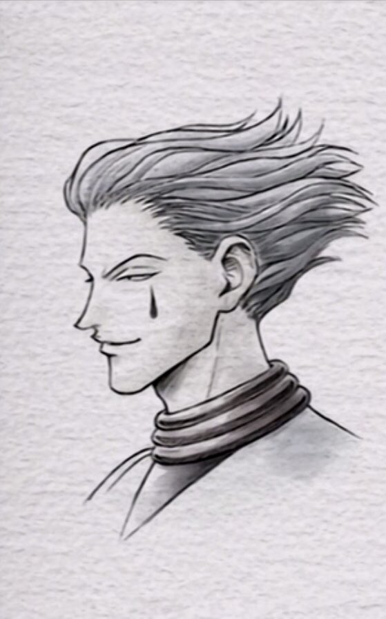 softhisoka's tweet photo. y'all ever think how hisoka looks like this, has a complex character and probably the most mysterious backstory??? thank god for togashi's mind https://t.co/f6KBKFzWR3