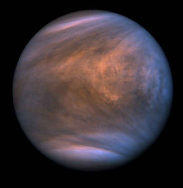 Venus: a Planet of Survival