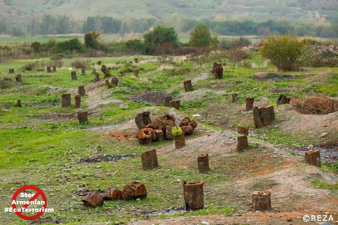 Международные организации оперативно реагируют на незначительные случаи экологического насилия, но сейчас Азербайджан сталкивается с настоящим экологическим террором, совершаемым Арменией. Услышьте наши голоса!
#StopArmenianEcoTerrorism #StopArmenianEcocide
#EnvironmentalCrime