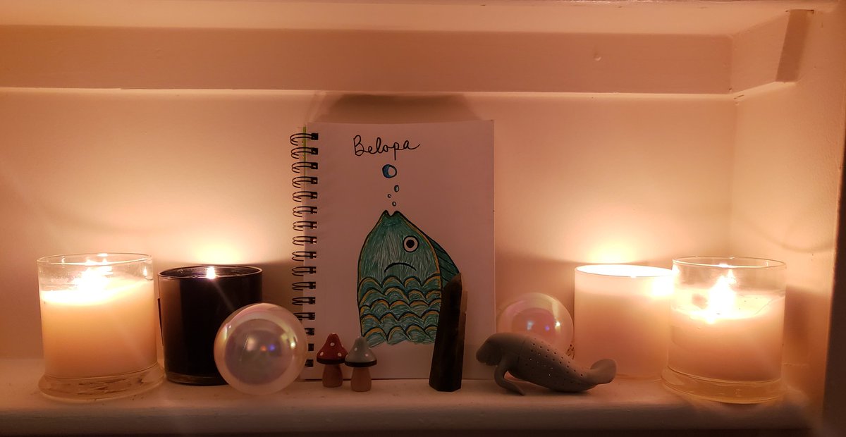 AstralAluminum's tweet photo. "How's quarantine and watching #DesertBus2020 going Addie?"
"Oh fine, ya know, just made a fish shrine last night."
"...what?" 
"Praise Belopaaa." https://t.co/n0W8ID91r9