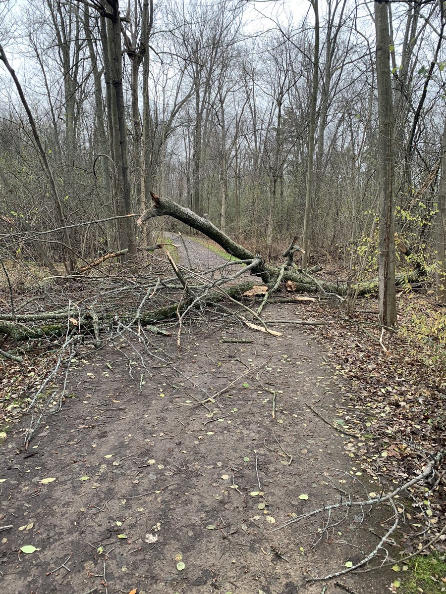 Gary Smith tweet media