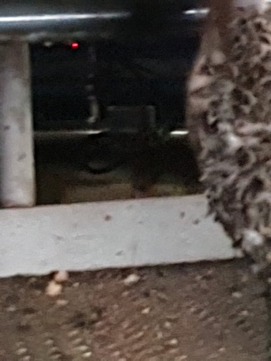 The screen will display any alerts on cows plus various usefull stats. You can enter events such as heats here, or enter drafts. Whilst being milked the milk goes through this little black box, and I get a protein, fat, litres, and somatic cell count reading for that cow