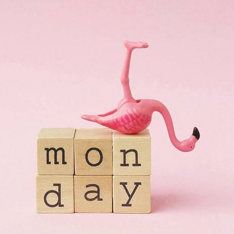 Who else feels like the world is upside down at the moment? Monday blends into every day of the week now...