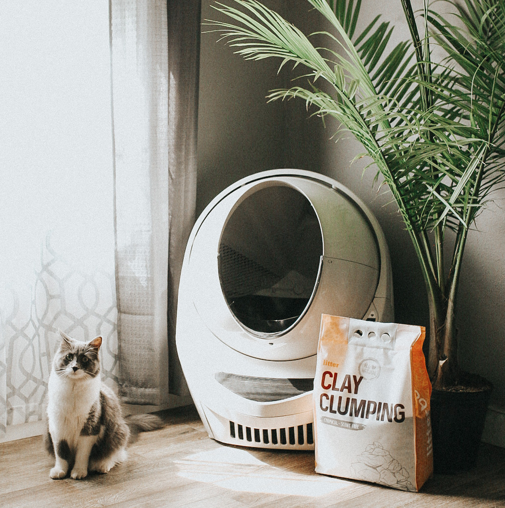 try litter robot