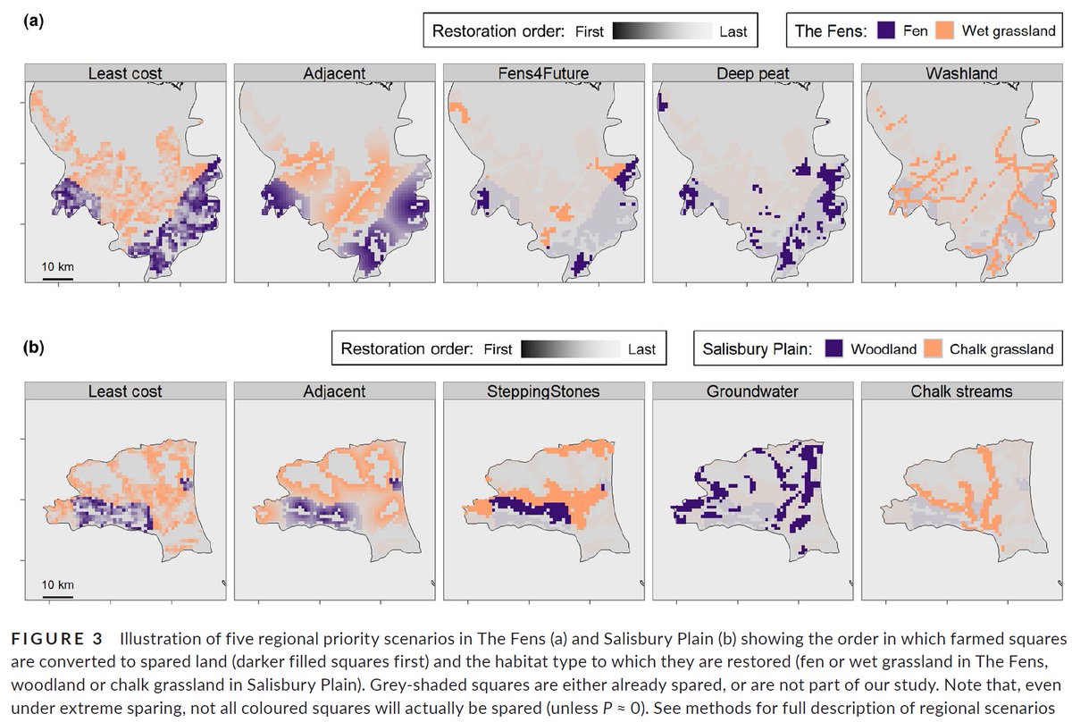 For scenarios which involve the creation of new spared areas, we developed 5 regional plans which determined which spared habitats go where 4/