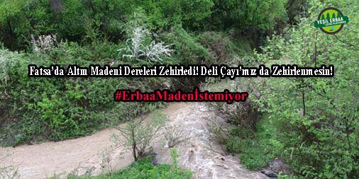 kazdagikoruma's tweet photo. Ormanlarımızın, Meralarımızın, Tarlalarımızın Siyanürle Zehirlenmesini İstemiyoruz!
#ErbaaMadenİstemiyor https://t.co/R2KW4DwFoP