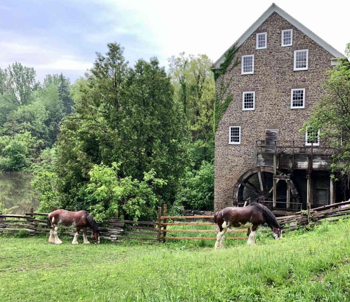 TRCFDN's tweet photo. Meet two of our favorite TRCA champions! They help visitors to @BlackCreekNews imagine themselves back in time! They eat 50 lbs of hay and drink 95 liters of water each per day. Admission fees help us care for our Clydesdales! #WorldHorseAppreciationDay #BCPV https://t.co/IwNIm3cKCk